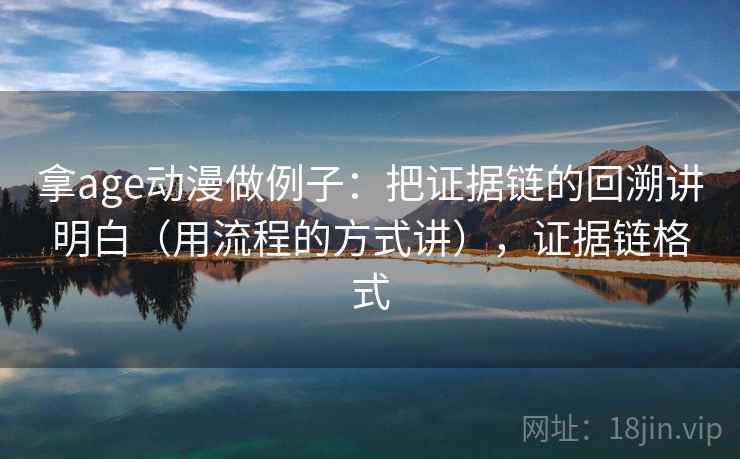 拿age动漫做例子：把证据链的回溯讲明白（用流程的方式讲），证据链格式