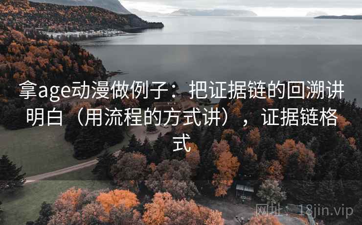拿age动漫做例子：把证据链的回溯讲明白（用流程的方式讲），证据链格式